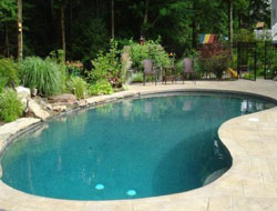 Bean Shaped Pool Manufacturer in Lucknow