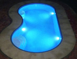 Bean Shaped Pool Manufacturer in Lucknow