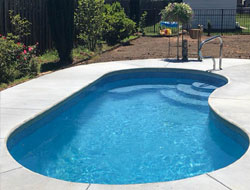 Kidney Shaped Swimming Pools Manufacturer in Lucknow